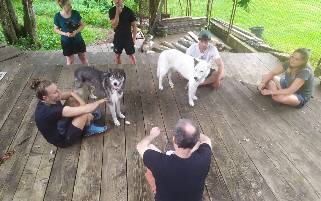 Centres d’interprétation sur le Sens du groupe avec des chiens de traîneau (Vercors et Ubaye)