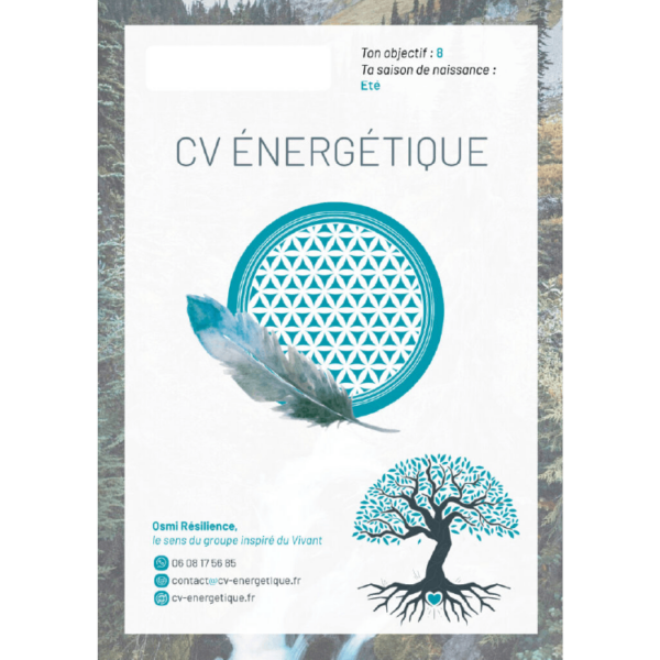 CV énergétique (recharge individuelle)